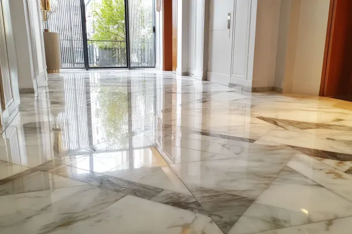 Hall d'entrée avec sol en marbre fraîchement rénové et brillant à Versailles